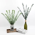 Miniatyrbillede 4 af 5: 10 stk. Kunstige Eucalyptusgrene, Plastik Eucalyptus Blad DXGHC
