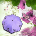 Miniatyrbillede 4 af 7: Foldbar Parasol Kvinder UV-Beskyttelse 8 Ribber 210T UPF50+ Parasol Kvinder