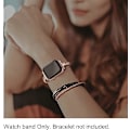 Miniatyrbillede 3 af 5: Remsor i rustfrit stål kompatibel med Apple Watch remme 38mm 42