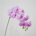 Miniatyrbilde 1 av 5: 1 Simulert blomst føles Phalaenopsis husholdningsmodell romdekor
