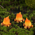 Miniatyrbillede 2 af 6: 20 stk. Miniature Lejrbål Model Ild Landskabspropper Dukkehuse F