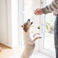 Miniatyrbild 6 av 6: Dörrklocka för husdjur Hängande mässingsdörrklocka för potträning Husträning Houserbreaking-White,A