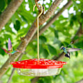 Pikkukuva 5 / 7: Hummingbird-syöttölaitteet ulkokäyttöön ripustamiseen, helppo puhdistaa ja täyttää