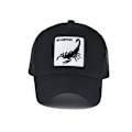 Pikkukuva 2 / 5: Scorpion-kuvioinen verkkolippis miehille ja naisille