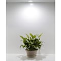 Pikkukuva 5 / 5: 10 kpl Mini Kattospotti LED Uppoasennettava led-spotti