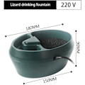 Pikkukuva 2 / 5: Liskon Juoma-astia, Kameleontin Matelijan Vesiputous Pumppuihin DXGHC