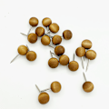 Miniatyrbilde 1 av 4: 200 stk Treknapper, Runde Hodeknapper med Stålspiss