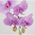 Miniatyrbilde 4 av 5: 1 Simulert blomst føles Phalaenopsis husholdningsmodell romdekor