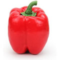 Miniatyrbild 4 av 6: Konstgjorda Simulerade Falska Peppar Capsicum Konstgjorda Grönsaker
