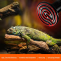 Miniatyrbillede 5 af 6: E27 200W Varmelampe til kæledyr Infrarød Keramisk Varmelampe Reptil