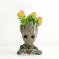 Miniatyrbild 2 av 5: Dww-groot blomkruka, hjärtformad Groot blomkruka, Succulen DXGHC