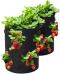 Jordgubbsplantpåse, 2-pack 10 Gallon Jordgubbodlingsväskor wi