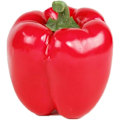 Miniatyrbild 1 av 6: Konstgjorda Simulerade Falska Peppar Capsicum Konstgjorda Grönsaker