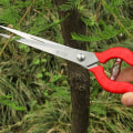Miniatyrbilde 6 av 6: Profesjonell rustfritt stål rettbladet trimmer for blomster