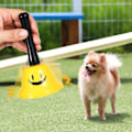 Miniatyrbild 5 av 5: (2-pack, Gul) Klocka, Handklocka Servisklocka Middagsbord DXGHC