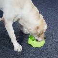 Miniatyrbillede 3 af 5: Anti-Glutton Skål til Hund og Kat, Skridsikker Foder Skål Pro DXGHC