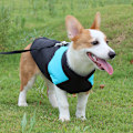 Miniatyrbillede 1 af 6: Hundekåbe, blå vintertæt jakke til små og mellemstore hunde
