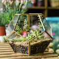Miniatyrbillede 2 af 6: Guld Glas Geometrisk Terrarium, 5.9 tommer Pentagon Regulær Messing
