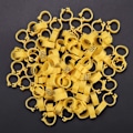 Miniatyrbillede 6 af 6: 100 stk. Hønse-ringe, Fugle-ringe Plastik Fjerkræ Due-ringe til