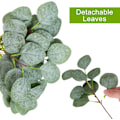Pikkukuva 2 / 7: 40 kpl Teko-eukalyptusvarsia Hopearaha-eukalyptus Eu
