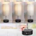 Miniatyrbillede 2 af 5: 3-Farvet Temperatur Sengelampe Natbordlampe med USB A-port og C-port, Bordlampe til Soveværelse med LED Pære Lille