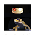 Miniatyrbillede 2 af 6: Kombination Dobbelt Reptil Dyb Dome Lysarmatur til Reptil Li