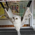 Pikkukuva 5 / 6: Lemmikkieläinten häkki-riippukeinu, lemmikkiriippukeinu, kissan riippukeinu, pehmeä plushi lemmikkivuode, s