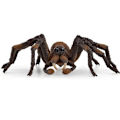 Miniatyrbillede 2 af 4: Figurine Aragog, Harry Potter, til børn fra 6 år, Schleich 13987 Harry Potter, Univers WIZARDING WORLD Flerfärgad