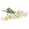 Miniatyrbillede 4 af 4: Hvid gul hjerte falsk blomst Mini Calla Lily