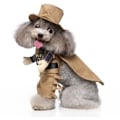 Pikkukuva 3 / 5: Cosplay-koiran vaatteet nouse ylös, pukeudu lemmikkieläinten vaatteisiin