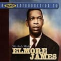 Elmore James Proper Introduction to Elmore James A Slide Guitar Master CD CD CD