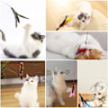 Miniatyrbild 5 av 5: Set 5 delar Rolig Cat Stick Cat Toy Stick Infällbar Cat Stick Interactive Cat Hair
