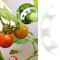 Miniatyrbild 2 av 5: 100 st Förstärkta Clips för Tomatplantor - Anti-böjstöd för Fruktutveckling