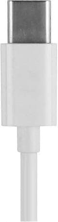 Miniatyrbillede 4 af 5: 30-bens hun til USB 3.1 Type-C kabel til iPhone, iPad datasynkronisering og opladning