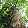Miniatyrbillede 5 af 5: Fork Cambium Saver med ringe Træarborist Friction Saver Rope Bælteløkke Fall Retrievable Anchor Climbing Gear, 35,4 tommer sort