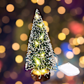 Miniatyrbillede 1 af 3: Led Lights Mini Small Pine Tree Party Decor Julegave Warm Light