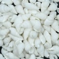 Pikkukuva 2 / 5: 3 x 100 kpl Pieni kaunis Top Harvinainen Real Sea Shell kotilot Joululahja