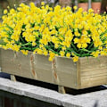 Miniatyrbillede 2 af 5: UV-resistente udendørs kunstige planter og blomster - Gul 8 STK