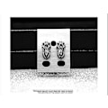 Miniatyrbillede 5 af 5: støbning Ørering Beetle Zircon Punk Stud Øreringe