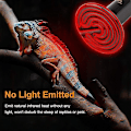 Miniatyrbillede 2 af 5: 2 stk 100w keramisk varmelampe Klatredyrlampe Solvarmer Krybdyr Skildpadde Firben Luftpære Papegøje Temperaturkontrol Natlys