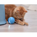 Miniatyrbild 4 av 4: LED-glödande boll-husdjursleksaker blue
