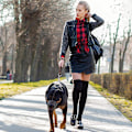 Miniatyrbillede 4 af 4: Hunde Læder Flettet Hunde Kort Traffic Leash Braid