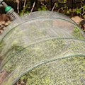 Miniatyrbild 5 av 5: Insektsskyddsnät, 2,5 X 10 m Grönsaksväxtskyddsnät Grow Well Mesh Tunnel För Frukt Blommor Grödor Växthus