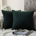 Miniatyrbillede 2 af 5: Sæt med 2 dekorative fløjlspudebetræk Sofa Pudebetræk Super Glat Blød Dekoration Hjem Stue Soveværelse Til Sofa 2 stk. 30x50cm Vand Gree