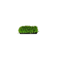 Miniatyrbillede 4 af 4: Pak holdbare sorte plastik plantebakker (ingen drænhuller) 54 cm x 28 cm - blomster, frøplanter