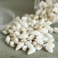 Pikkukuva 4 / 5: 3 x 100 kpl Pieni kaunis Top Harvinainen Real Sea Shell kotilot Joululahja