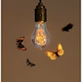 Miniatyrbilde 4 av 5: 6stk Retro Vintage 40W A19 E27 Skrue Lyskilde E27 Cafe Bar A19 Wound 40W Tungsten Bulb 220V-240V