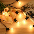 Miniatyrbilde 2 av 5: Utendørs Fairy Lights, Koblebare Fairy Lights 7.6M 25 G40 pærer med 3 reservepærer for festhage bryllup uteplass,