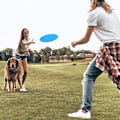 Miniatyrbillede 3 af 5: 2 stk Silikone Træningsfrisbee