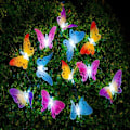 Miniatyrbild 1 av 5: 12led Solar Butterfly String Lights röd, gul, blå och grön Solar Multicolor LED Butterfly String Lights Fyra färger